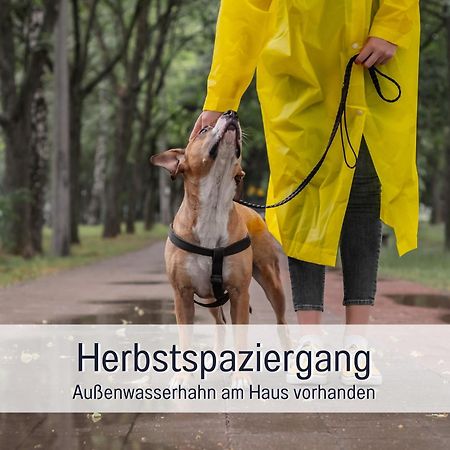 Ferienloft Sternenblick - Strandnah, Haustierfreundlich, Tolle Kueche, Optimal Fuer Workation, 4 Personen Steinberg  Esterno foto