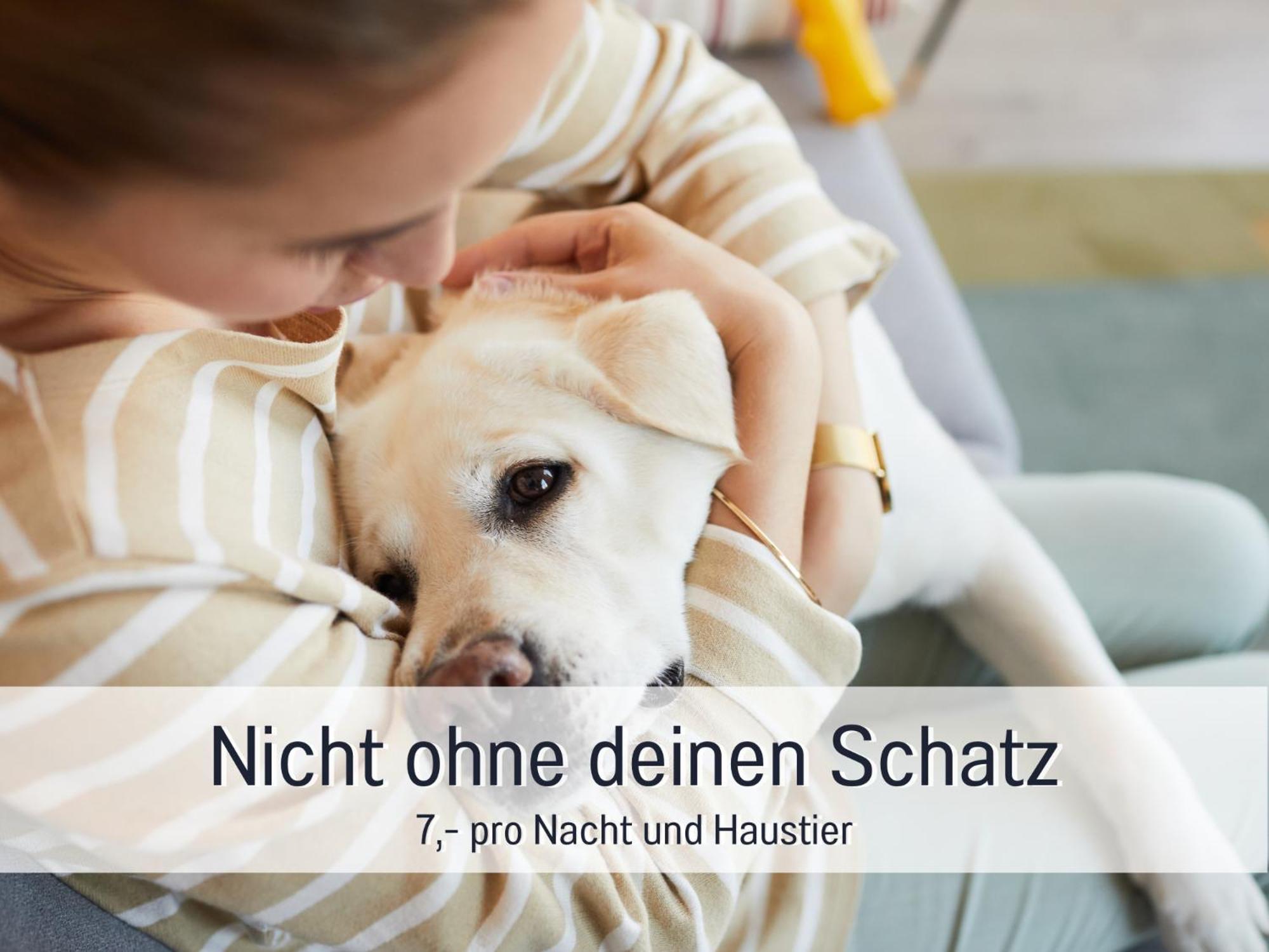 Ferienloft Sternenblick - Strandnah, Haustierfreundlich, Tolle Kueche, Optimal Fuer Workation, 4 Personen Steinberg  Esterno foto