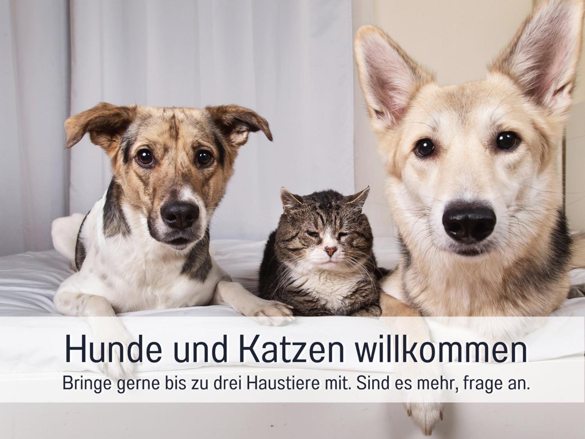 Ferienloft Sternenblick - Strandnah, Haustierfreundlich, Tolle Kueche, Optimal Fuer Workation, 4 Personen Steinberg  Esterno foto