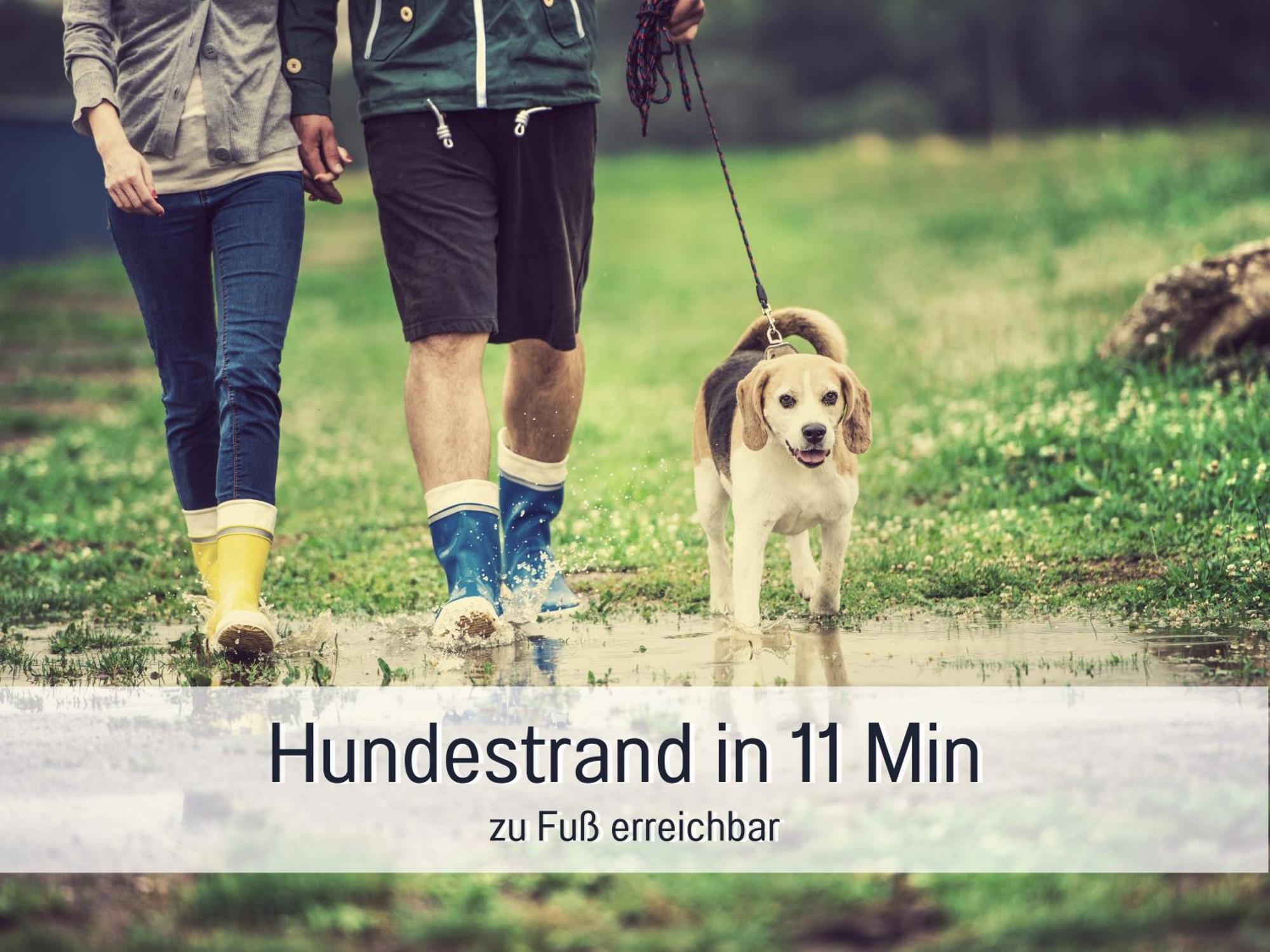 Ferienloft Sternenblick - Strandnah, Haustierfreundlich, Tolle Kueche, Optimal Fuer Workation, 4 Personen Steinberg  Esterno foto
