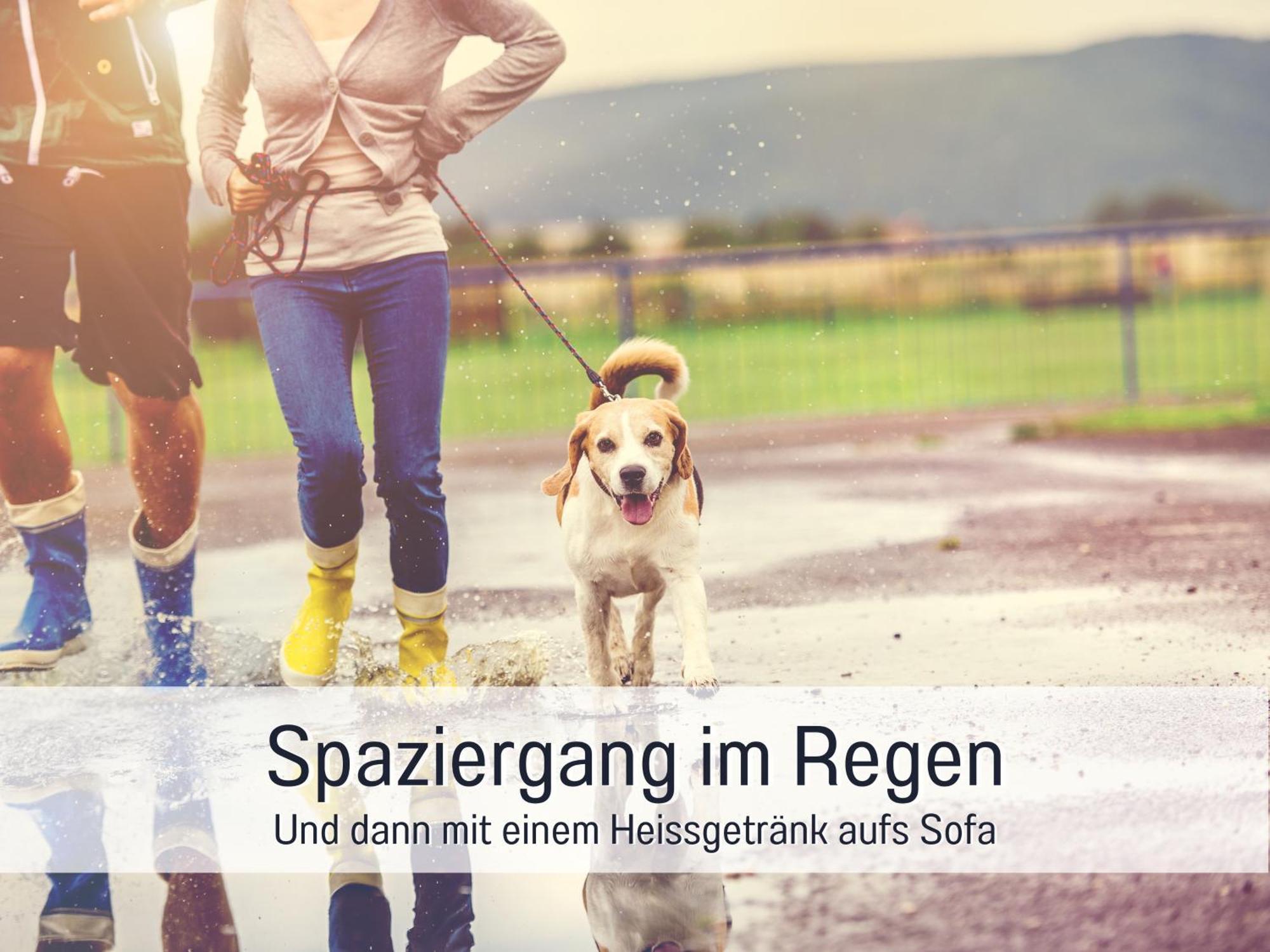 Ferienloft Sternenblick - Strandnah, Haustierfreundlich, Tolle Kueche, Optimal Fuer Workation, 4 Personen Steinberg  Esterno foto