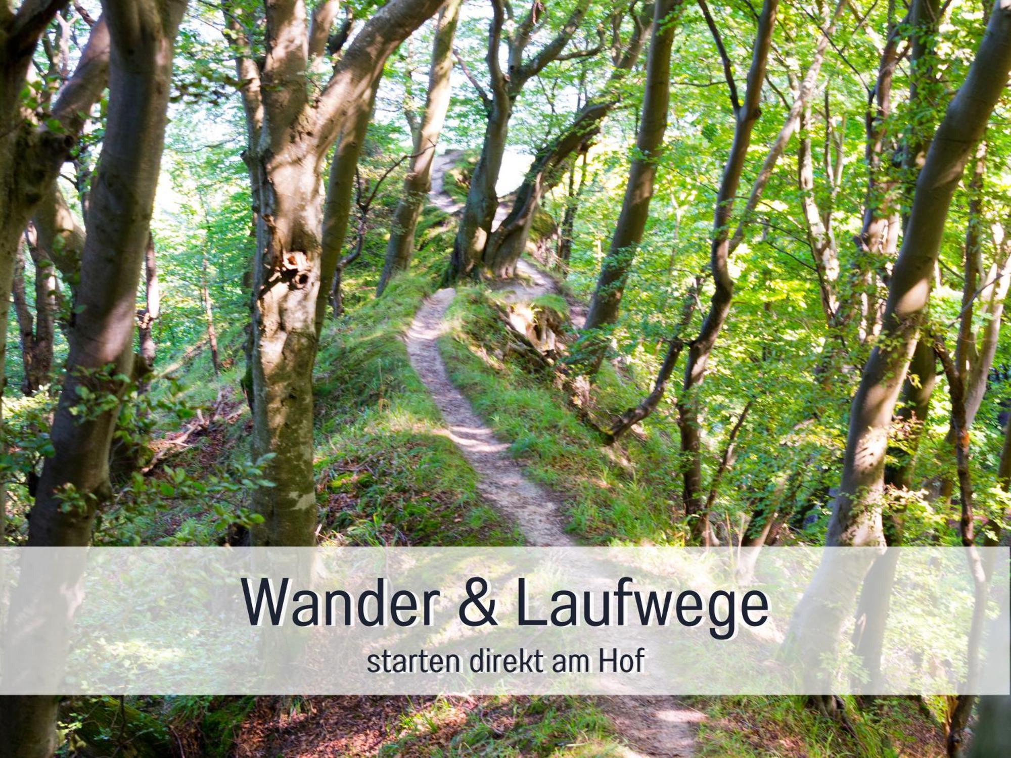 Ferienloft Sternenblick - Strandnah, Haustierfreundlich, Tolle Kueche, Optimal Fuer Workation, 4 Personen Steinberg  Esterno foto