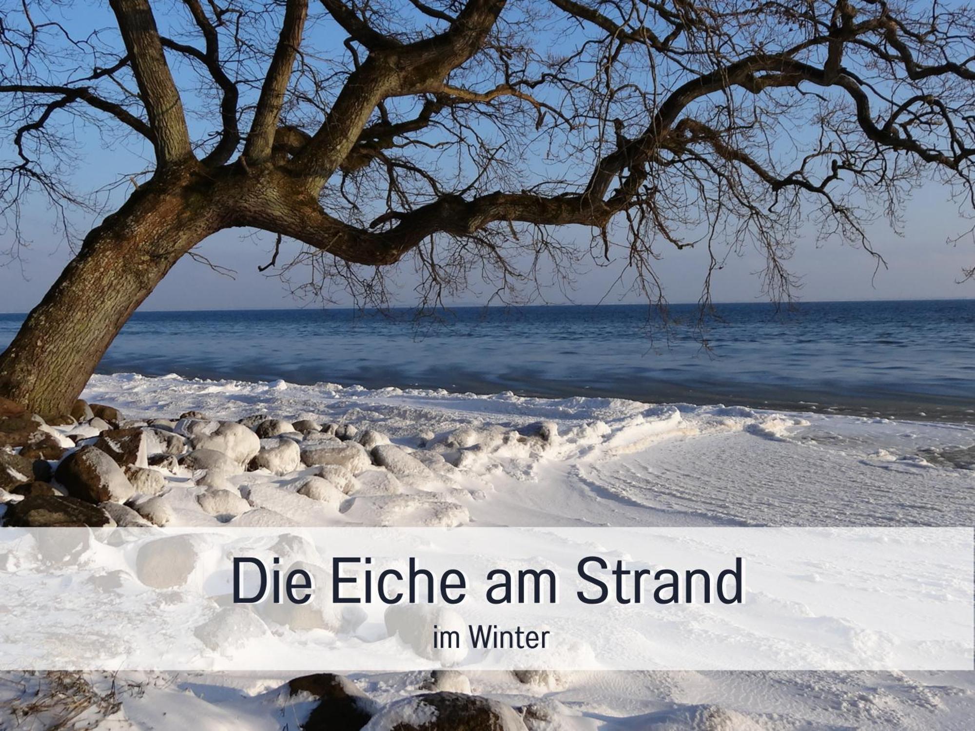 Ferienloft Sternenblick - Strandnah, Haustierfreundlich, Tolle Kueche, Optimal Fuer Workation, 4 Personen Steinberg  Esterno foto