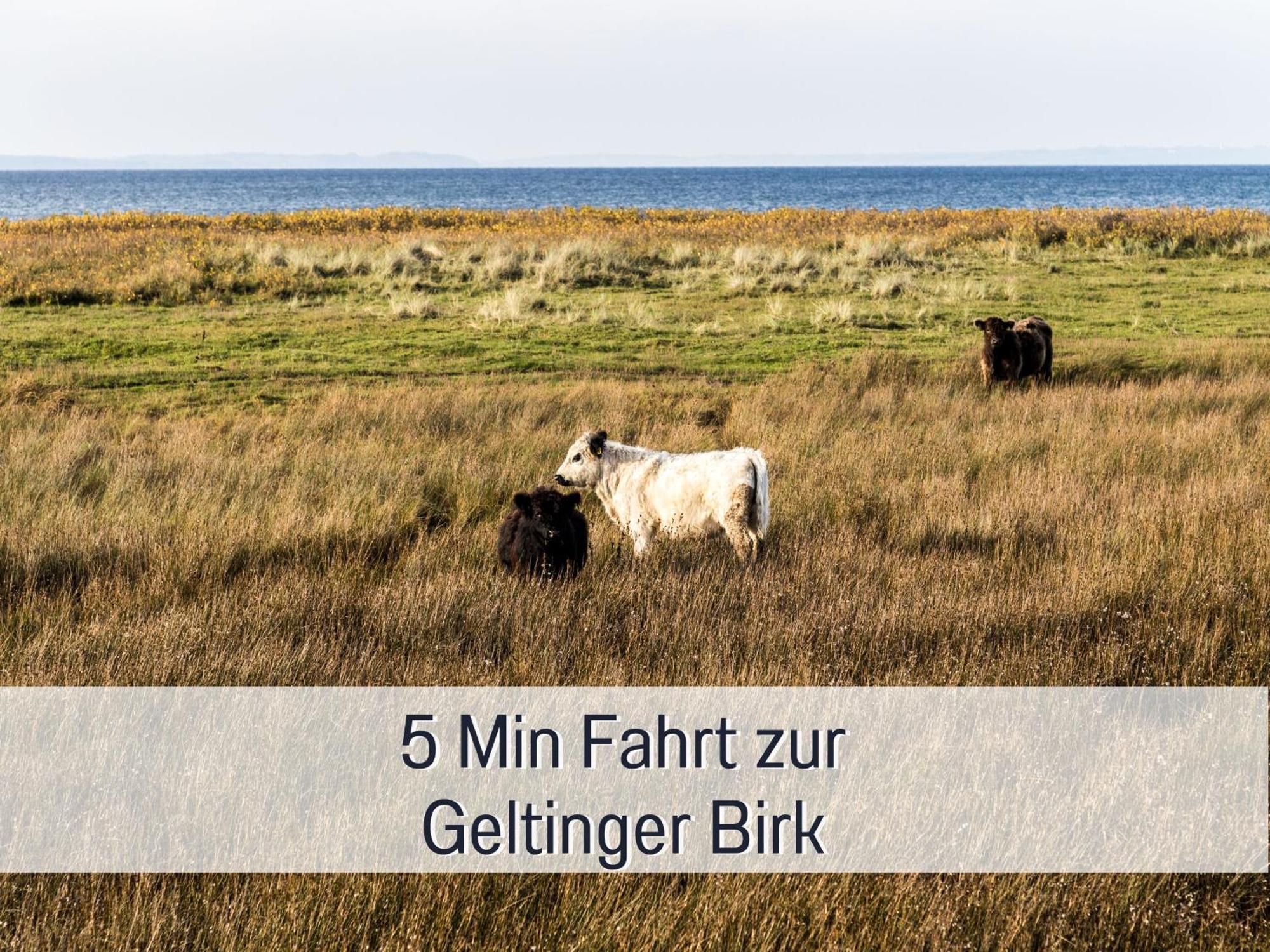 Ferienloft Sternenblick - Strandnah, Haustierfreundlich, Tolle Kueche, Optimal Fuer Workation, 4 Personen Steinberg  Esterno foto